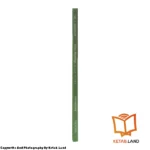 قیمت و خرید کتاب Select Readings Intermediate 2nd از کتاب لند - تصویر چهارم - تصویر شیرازه کتاب