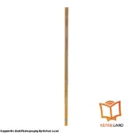 قیمت و خرید کتاب Big English 1 2nd از کتاب لند - تصویر پنجم - تصویر شیرازه کتاب