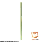 قیمت و خرید کتاب Big English 4 2nd از کتاب لند - تصویر پنجم - تصویر شیرازه کتاب