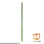 قیمت و خرید کتاب Hip Hip Hooray 4 2nd از کتاب لند - تصویر پنجم - تصویر شیرازه کتاب