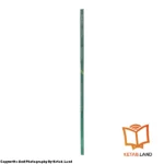 قیمت و خرید کتاب Magic Time 2 2nd از کتاب لند - تصویر پنجم - تصویر شیرازه کتاب