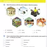 کتاب Big English 6 2nd 15 کتاب بیگ انگلیش 6 ویرایش دوم ورک بوک