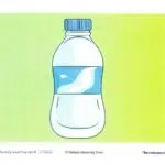 فلش کارت American Family and Friends 4 2nd 7 فلش کارت امریکن فمیلی اند فرندز 4 ویرایش دوم