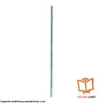 قیمت و خرید کتاب Let’s go begin 1 5th از کتاب لند - تصویر پنجم - تصویر شیرازه کتاب