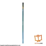 قیمت و خرید کتاب Speak Now 4 از کتاب لند - تصویر پنجم - تصویر شیرازه کتاب