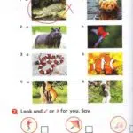 کتاب Big English Starter 2nd 16 کتاب بیگ انگلیش استارتر کتاب کار 92