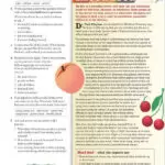 کتاب American English File 3 2nd 14 قیمت کتاب american english file 3 2nd