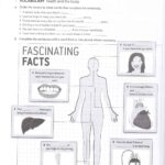 کتاب انگلیش فایل پری اینترمیدیت ویرایش چهارم کتاب کار 36