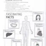 کتاب English File Pre-Intermediate 4th 14 کتاب انگلیش فایل پری اینترمیدیت ویرایش چهارم کتاب کار 36