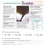 کتاب English Time 6 2nd 11 کتاب English Time 6 2nd - کتاب English Time 6 2nd - کتاب لند