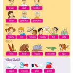 کتاب Family and Friends Starter 2nd 7 کتاب Family and Friends Starter