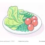 فلش کارت American Family and Friends 4 2nd 3 فلش کارت فمیلی اند فرندز 4 2 ادیشن