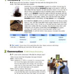 کتاب Four Corners 4 15 قیمت کتاب Four Corners 4