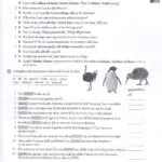 کتاب معلم American English File 4 2nd 7 کتاب معلم امریکن انگلیش فایل چهار ویرایش دوم