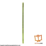 قیمت و خرید کتاب Basic Tactics for Listening 3rd از کتاب لند - تصویر چهارم - تصویر شیرازه کتاب