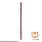 قیمت و خرید کتاب Developing Tactics for Listening 3rd از کتاب لند - تصویر چهارم - تصویر شیرازه کتاب