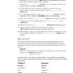 کتاب Focus on Vocabulary 1 8 قیمت کتاب Focus on Vocabulary One