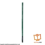 قیمت و خرید کتاب Advanced 5th از کتاب لند - تصویر پنجم - تصویر شیرازه کتاب