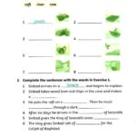 کتاب Sinbad Family Readers 3 7 کتاب Sinbad Family Readers 3 - Sinbad Family Readers 3 - کتاب لند