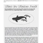 کتاب Cambridge IELTS 4 10 قیمت کتاب کمبریج انگلیش آیلتس 4