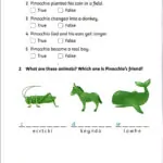 کتاب Pinocchio Family Readers 3 5 کتاب Pinocchio Family Readers 3 - Pinocchio Family Readers 3 - کتاب لند