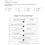 کتاب Cambridge IELTS 13 Academic 10 کتاب Cambridge IELTS 13 Academic - کتاب Cambridge IELTS 13 Academic - کتاب لند