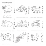 کتاب Jolly Phonics Workbook 6 12 کتاب Jolly Phonics Workbook 6 - کتاب Jolly Phonics Workbook 6 - کتاب لند