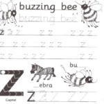 کتاب Jolly Phonics Workbook 5 13 قیمت کتاب جولی فونیکس ورک بوک 5 با تخفیف