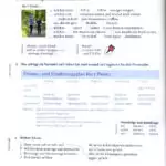 کتاب Menschen A.2.1 11 کتاب Menschen A.2.1 - کتاب Menschen A.2.1 - کتاب لند