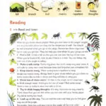 کتاب British Reading and Writing 4 6 کتاب British Reading and Writing 4 - کتاب British Reading and Writing 4 - کتاب لند