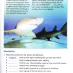 کتاب British Reading and Writing 5 5 کتاب British Reading and Writing 5 - کتاب British Reading and Writing 5 - کتاب لند