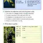 کتاب American Reading and Writing 1 8 کتاب American Reading and Writing 1 - American Reading and Writing 1 - کتاب لند