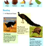 کتاب American Reading and Writing 1 12 کتاب American Reading and Writing 1 - American Reading and Writing 1 - کتاب لند