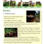 کتاب American Reading and Writing 3 5 کتاب American Reading and Writing 3 - American Reading and Writing 3 - کتاب لند