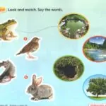 کتاب American Super Safari 2 13 کتاب American Super Safari 2 - کتاب American Super Safari 2 - کتاب لند