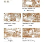 کتاب The Town Mouse and the Country Mouse Family Readers 2 5 کتاب The Town Mouse and the Country Mouse Family Readers 2 - The Town Mouse and the Country Mouse Family Readers 2 - کتاب لند