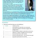 کتاب American Reading and Writing 6 6 کتاب American Reading and Writing 6 - کتاب American Reading and Writing 6 - کتاب لند