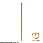 قیمت و خرید کتاب Active Skills For Reading Intro 3rd از کتاب لند - تصویر چهارم - تصویر شیرازه کتاب