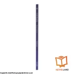 قیمت و خرید کتاب Inside Reading 4 2nd از کتاب لند - تصویر چهارم - تصویر شیرازه کتاب