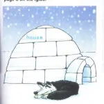 کتاب Where People Live Dolphin Readers 4 9 کتاب Where People Live Dolphin Readers 4 - کتاب Where People Live Dolphin Readers 4 - کتاب لند