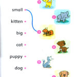 کتاب Baby Animals Dolphin Readers Starter - کتاب Baby Animals Dolphin Readers Starter - کتاب لند