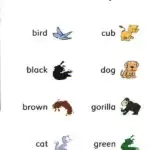 کتاب Baby Animals Dolphin Readers Starter 8 کتاب Baby Animals Dolphin Readers Starter - کتاب Baby Animals Dolphin Readers Starter - کتاب لند