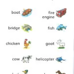 کتاب City Girl Country Boy Dolphin Readers 4 7 کتاب City Girl Country Boy Dolphin Readers 4 - کتاب City Girl Country Boy Dolphin Readers 4 - کتاب لند