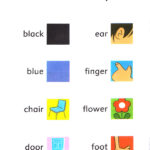 کتاب Doctor Doctor Dolphin Readers Starter 9 کتاب Doctor Doctor Dolphin Readers Starter - کتاب Doctor Doctor Dolphin Readers Starter - کتاب لند