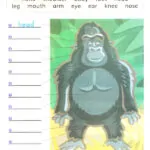 کتاب Go Gorillas Go Dolphin Readers 4 8 کتاب Go Gorillas Go Dolphin Readers 4 - کتاب Go Gorillas Go Dolphin Readers 4 - کتاب لند