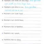 کتاب Go Gorillas Go Dolphin Readers 4 10 کتاب Go Gorillas Go Dolphin Readers 4 - کتاب Go Gorillas Go Dolphin Readers 4 - کتاب لند