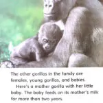 کتاب Go Gorillas Go Dolphin Readers 4 5 کتاب Go Gorillas Go Dolphin Readers 4 - کتاب Go Gorillas Go Dolphin Readers 4 - کتاب لند