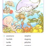 کتاب In the Ocean Dolphin Readers 4 10 کتاب In the Ocean Dolphin Readers 4 - کتاب In the Ocean Dolphin Readers 4 - کتاب لند