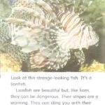 کتاب In the Ocean Dolphin Readers 4 7 کتاب In the Ocean Dolphin Readers 4 - کتاب In the Ocean Dolphin Readers 4 - کتاب لند