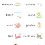 کتاب In the Ocean Dolphin Readers 4 6 کتاب In the Ocean Dolphin Readers 4 - کتاب In the Ocean Dolphin Readers 4 - کتاب لند